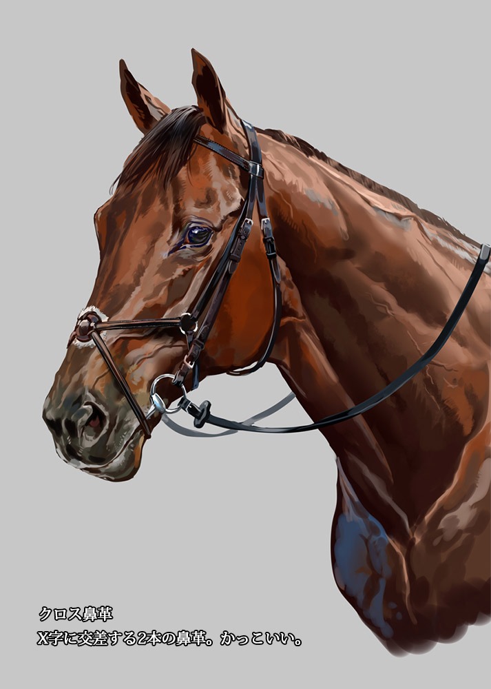 日本ダービー直前企画 競走馬の馬具いろいろ紹介コーナー 馬のイラスト描く時の 卵の黄身 C100新刊委託中のイラスト