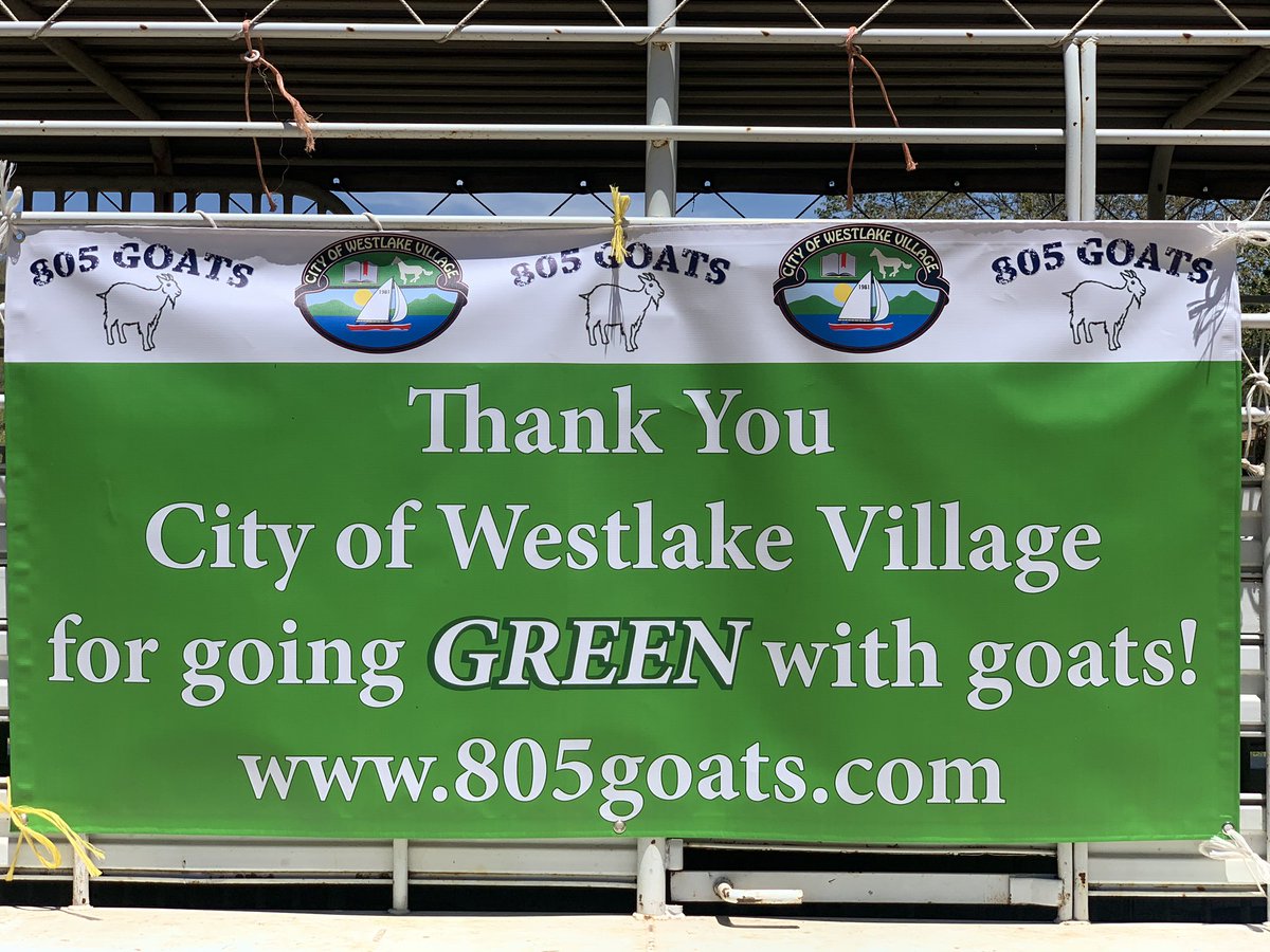 805goats's tweet photo. Thank you City of Westlake Village for going GREEN with goats and keeping our community safe! 🐐🌳#goats #fireprevention #gogreenwithgoats https://t.co/HKYiCNXoYf