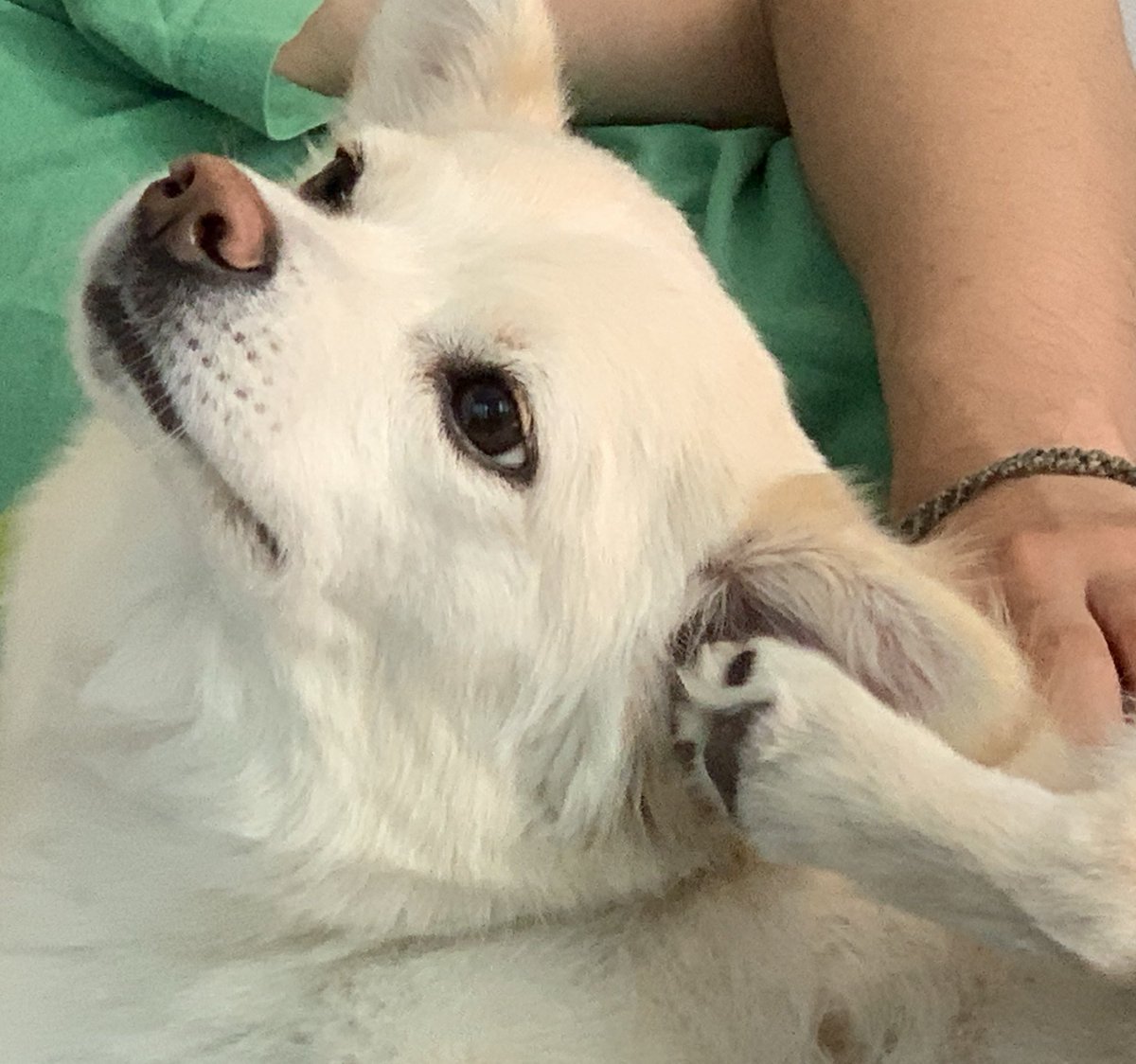 싫은 사람이 싫은 소리할 때 쓰면 좋은 짤