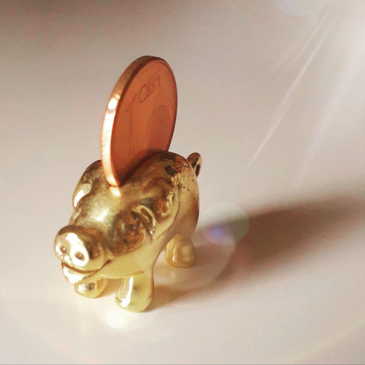 幸運のお守り金の豚コイン、ドイツの富の象徴らしい。 豚の貯金箱もお金がトントン拍子に貯まるから縁起物らしい。  夜の配信は21:12からで30分です～🎵 #LIVE812 #LIVE812ライバー