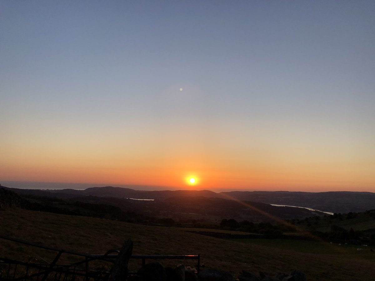 rhianblacksmith's tweet photo. Looks like another gorgeous day, and pup’s gone back to bed 🥰🐾🤣. Well, it is Sunday...
#sheepdog #sleepin #sgip https://t.co/Lbg9565UPM