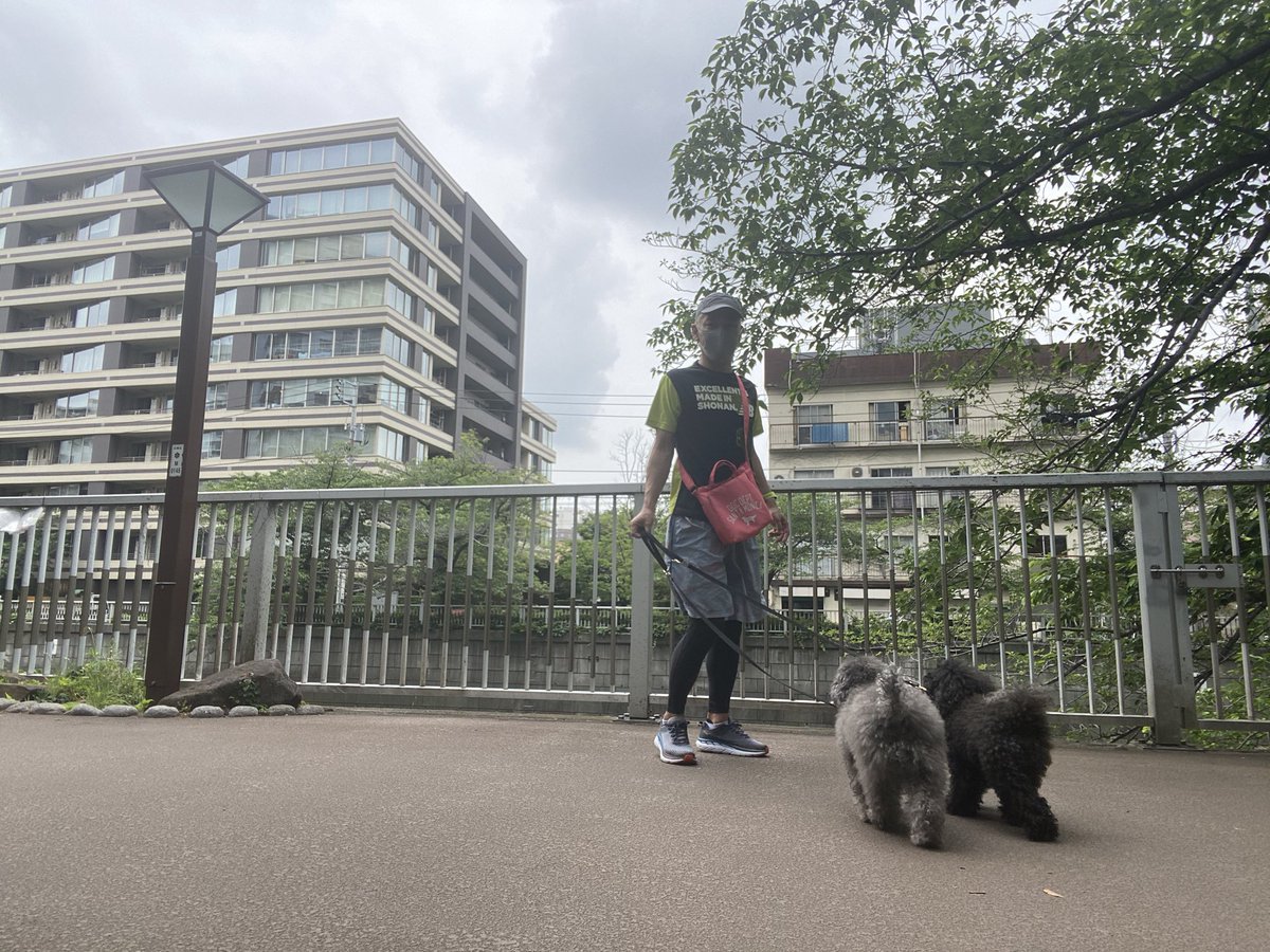 田村亮 マラソン大会 ランニングイベントの記念tシャツって普段走る時に照れ臭い奴とそのまま着れる奴がある なるべく 着る事を決めました