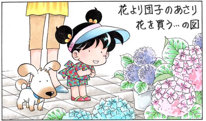 お花屋さんにあじさいの鉢がいっぱいあったよ。

ママ、ひとつ買おうよ。 