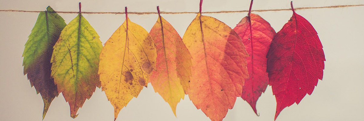 Typewriter.Media tweet media