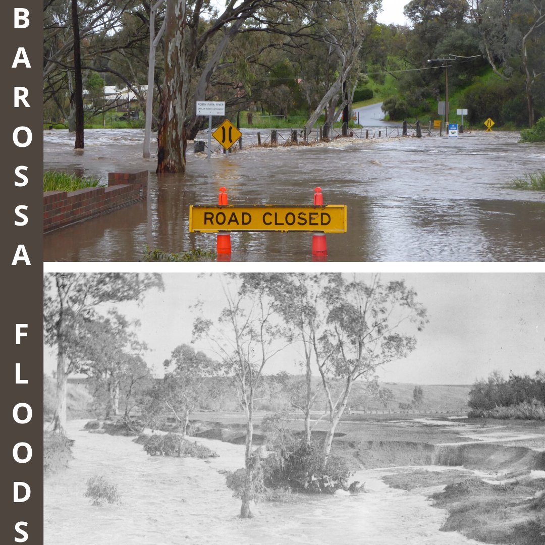 rebekah_ros's tweet image. #LIW2020 #CreateFun
I find it fun searching @TroveAustralia for records and images, I have just done a series of 17 posts for History Month. Images sourced from @slsa and I went and photographed a number of spots to see what it looks like now around town.