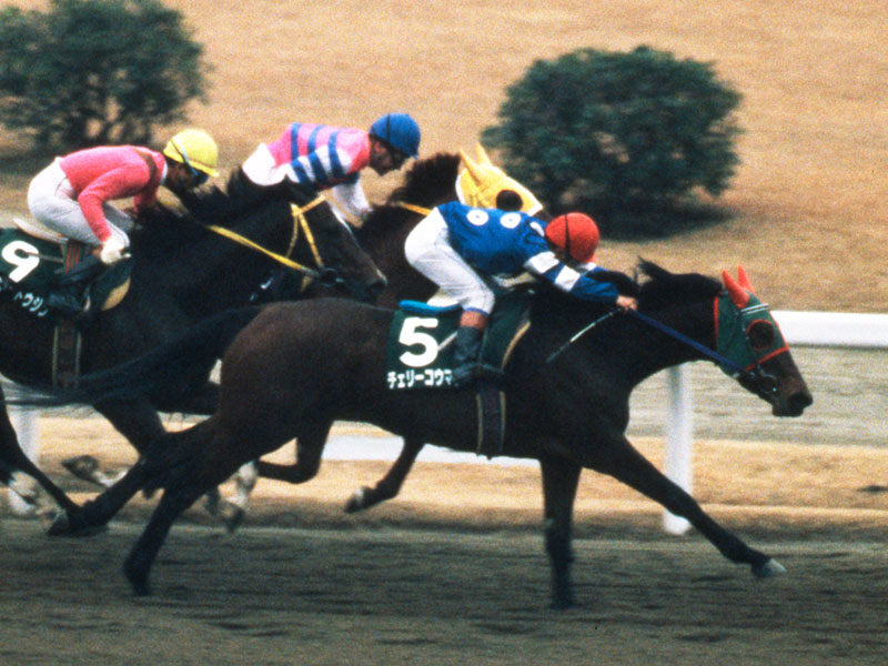 Tenga公式 Sur Twitter キンタマーニ