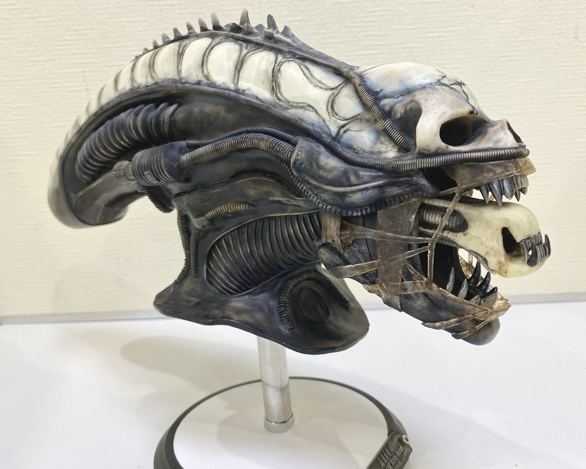 エーベル 海洋堂のギーガーオリジナルエイリアン作成で 中断してましたコレクション紹介 10回目は サイコモンスターズさんから発売中のランバルディ ヘッド ハーフスケールの完成品を購入しました ワタルさん独特の塗装と相まって かなり良い感じ