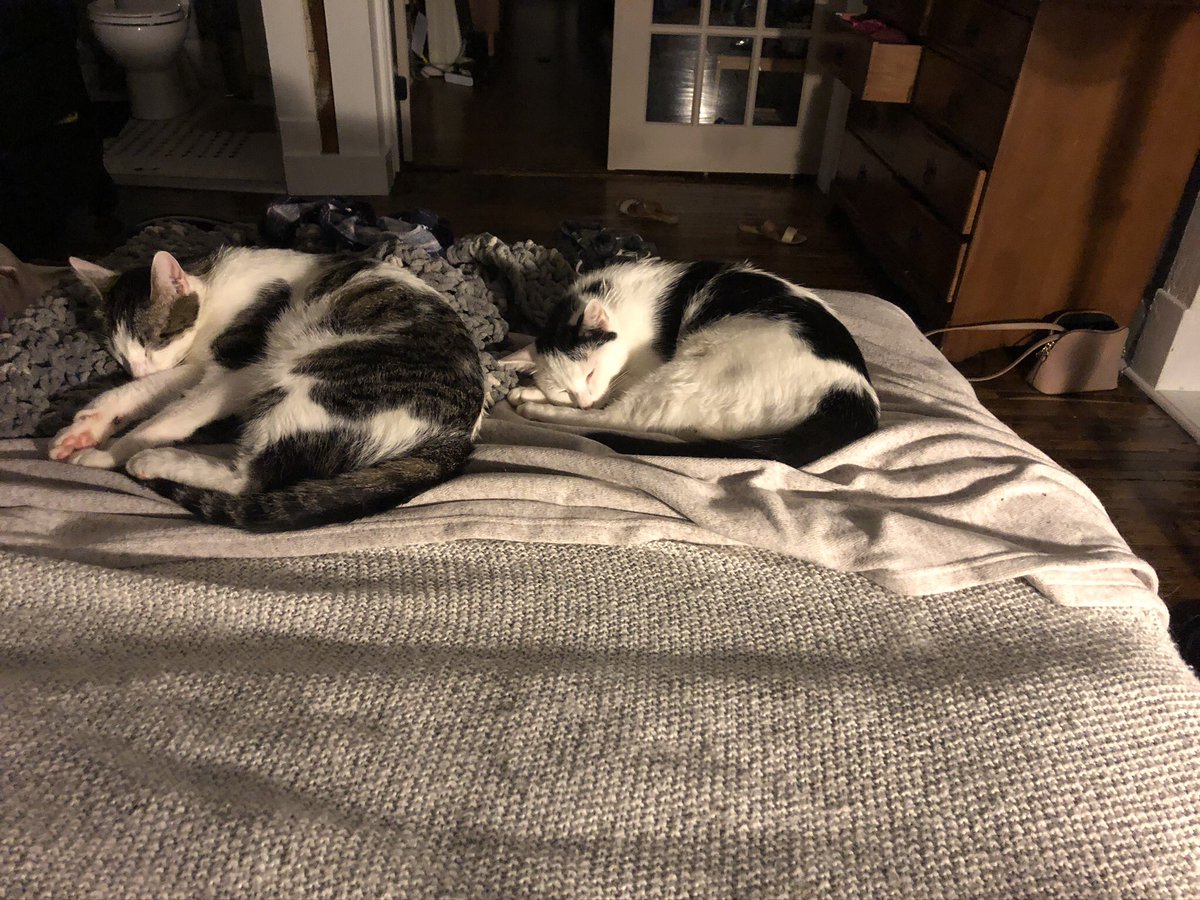 KaleyAJohnson's tweet photo. I’m home for the night. Stay safe everyone. https://t.co/icDZlW9NaX
