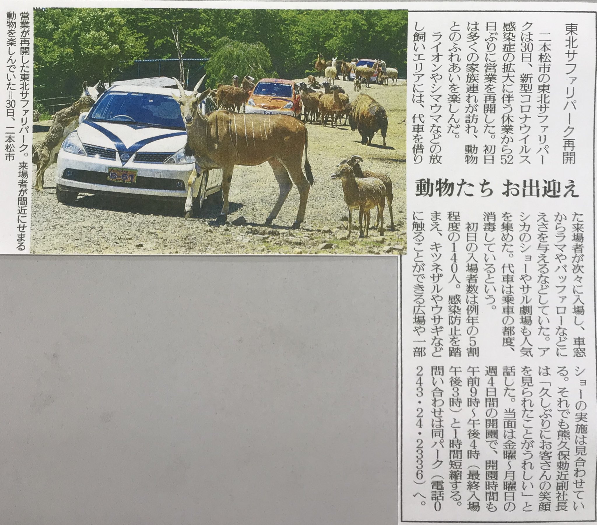 公明党福島県本部 東北サファリパーク再開 動物たち お出迎え 福島県二本松市 福島民友年5月31日付22面
