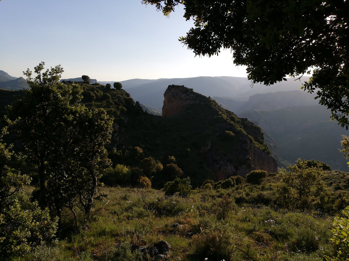 Respiramos Aire... Respiramos Vida....🌹🌻🌼
#Turespirassinpensaryosolopiensoenrespirar