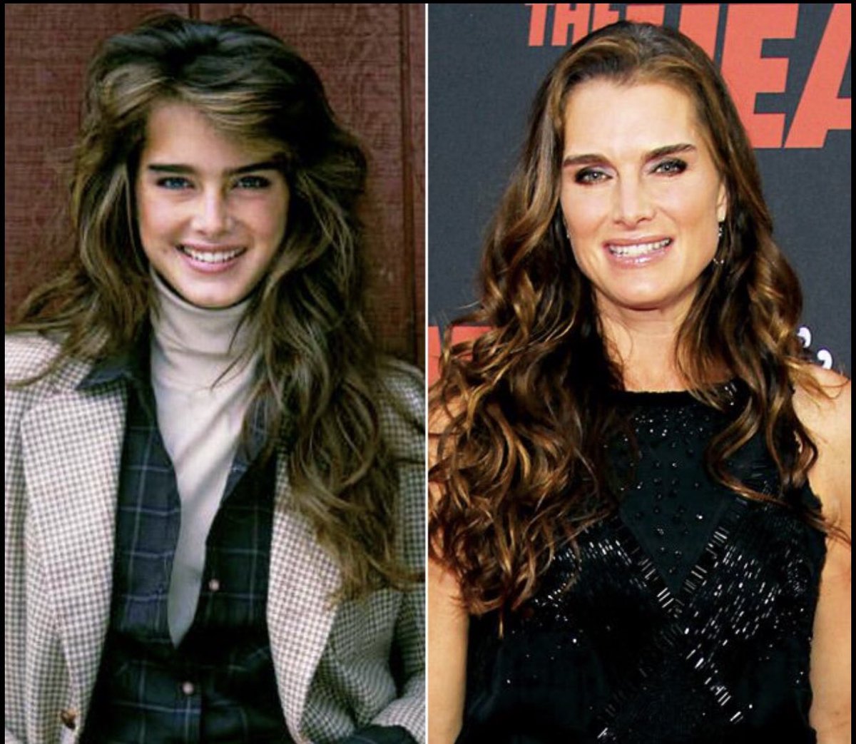 Featured image of post 80 S Brooke Shields Hair Before there was cara there was brooke