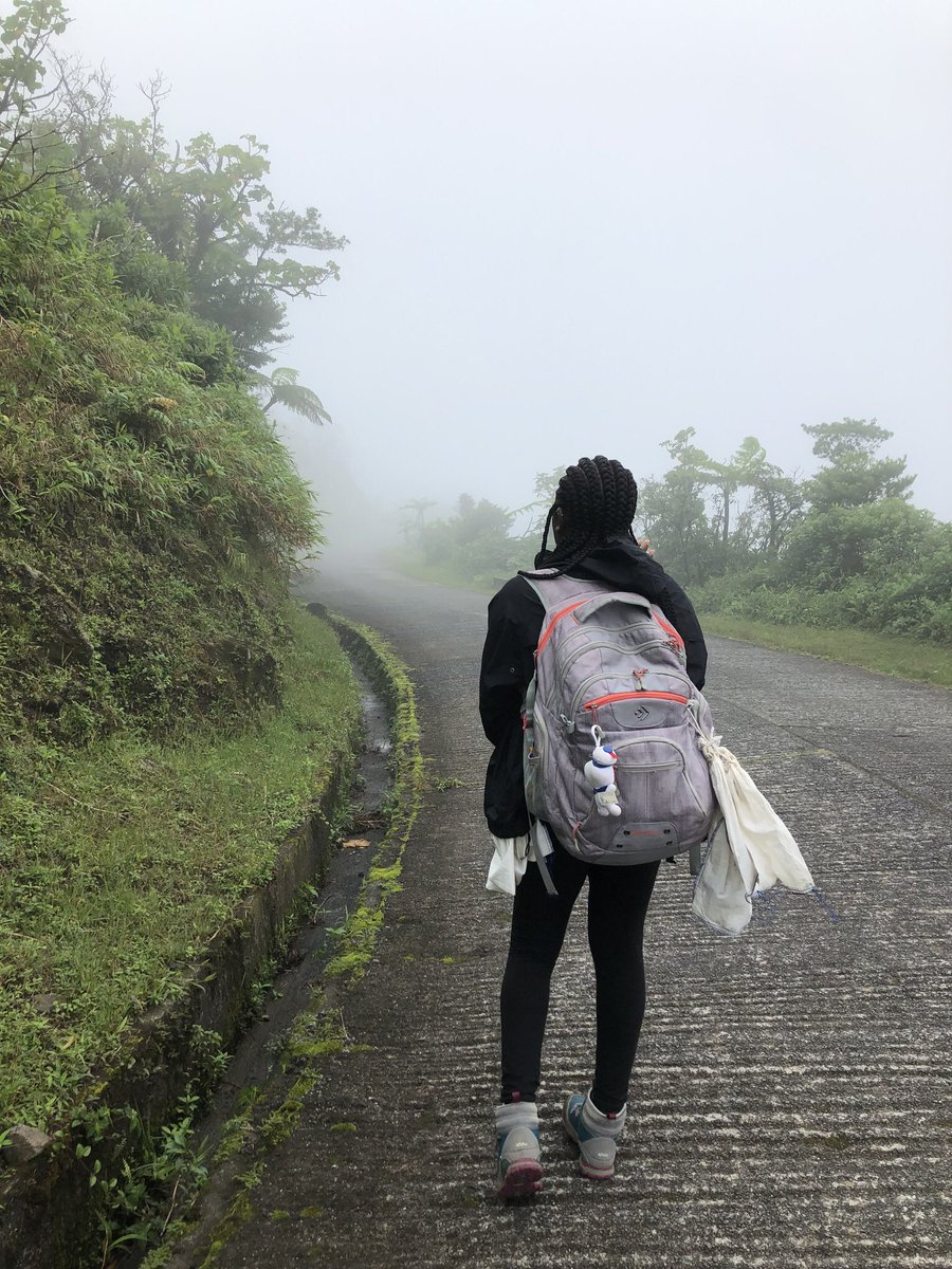 🇩🇲 Chelsea, Biologist/Magical Girl 🦎 tweet media