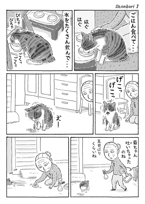 2ページ猫漫画「しょんぼり」 #猫の菊ちゃん 