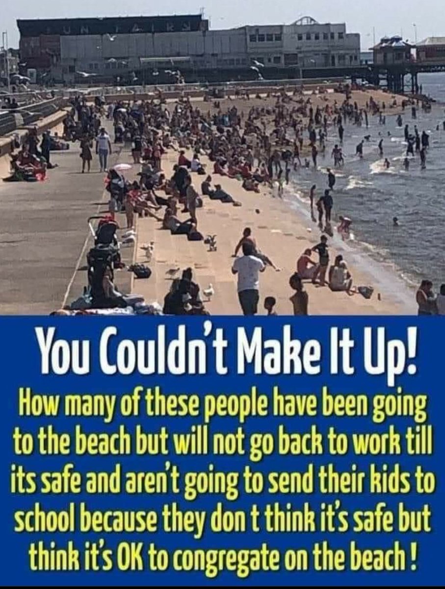 InvictaRegina🇬🇧 🦅 tweet media