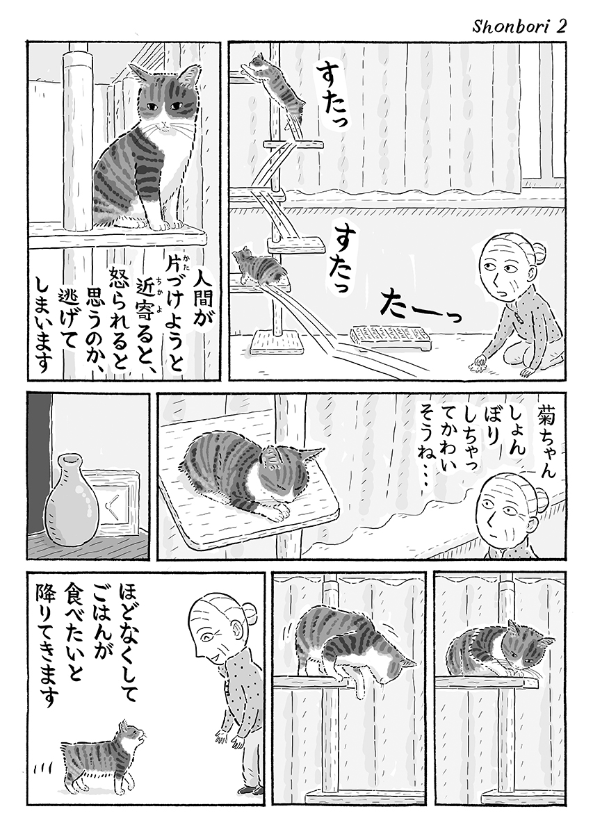 2ページ猫漫画「しょんぼり」 #猫の菊ちゃん 