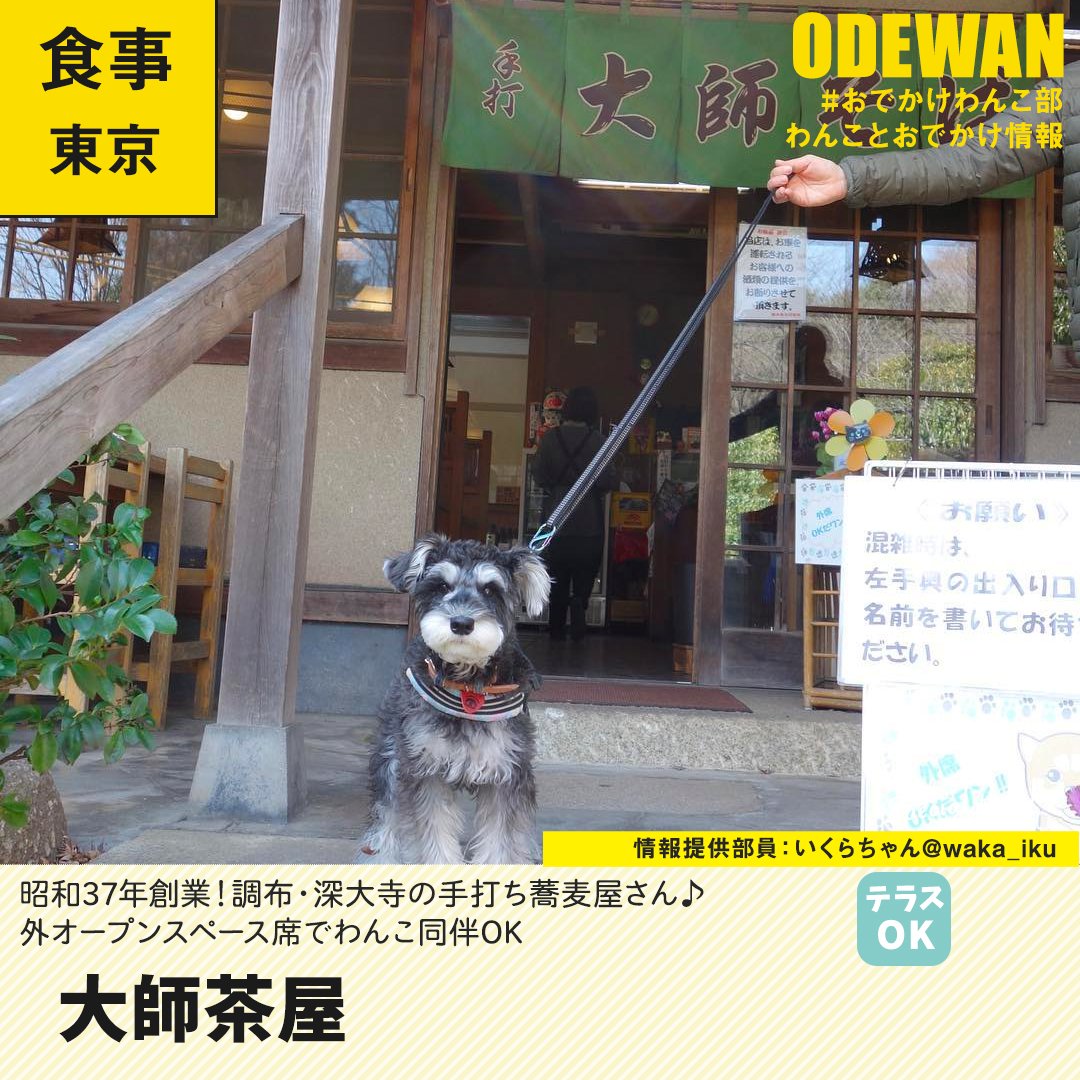 おでかけわんこ部 愛犬とのおでかけ情報 大師茶屋 に行ってきたよ いくらちゃんから写真レポが届きました 東京わんこokレストランの詳細 T Co Pkz1evmhgv おでかけわんこ部 わんことお出かけ わんこok わんこokカフェ 犬部 大師茶屋