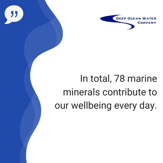 DeepOceanWater1's tweet photo. Composed exclusively of the purest deep waters, contains no trace of pollutants, pesticides, or other contaminants. 💧 🔗 https://t.co/5GcwiXGmFc #Deepoceanwater #Water#DrinkSeawater #Marineminerals #Waterfacts https://t.co/2FZrMen73I