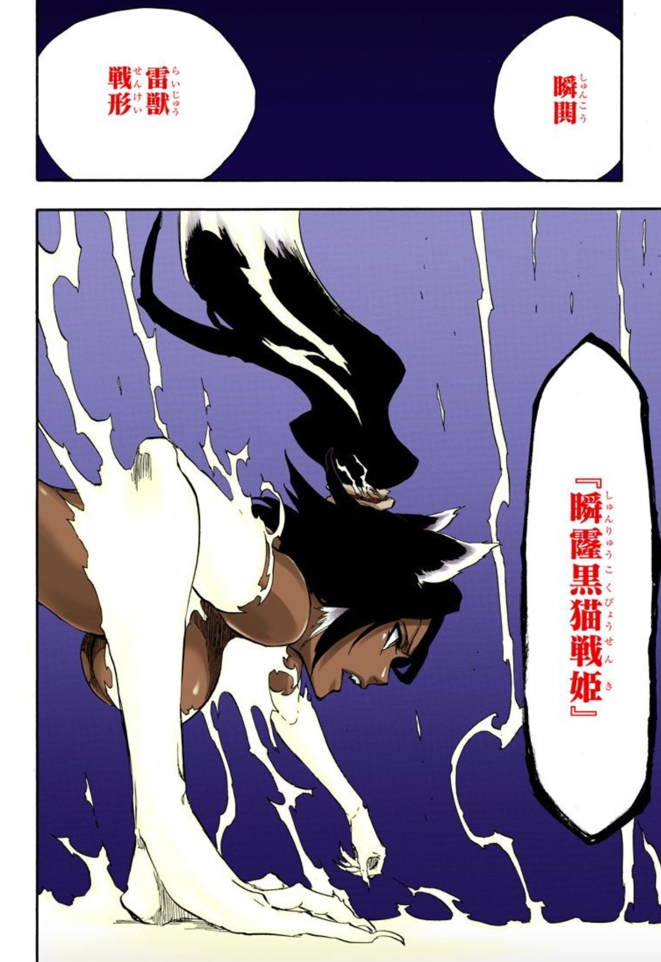 師匠ブリーチBLEACH四楓院夜一瞬鬨・雷獣戦形 四楓院夜一（BLEACH）の徹底解説・考察まとめ - RENOTE [リノート]