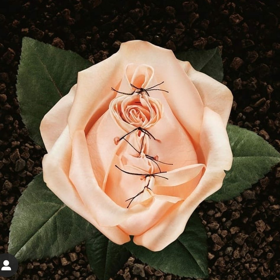 END FEMALE GENITAL MUTILATION! 

Painfully, cutting our flesh
Painfully, our blood drips
It's a grap and cut the flesh faster
Faster we bleed, faster we marry, slower we give birth - pain of cutting and stitching 
Cutting our flesh was enough until they stitched ! 
1/2