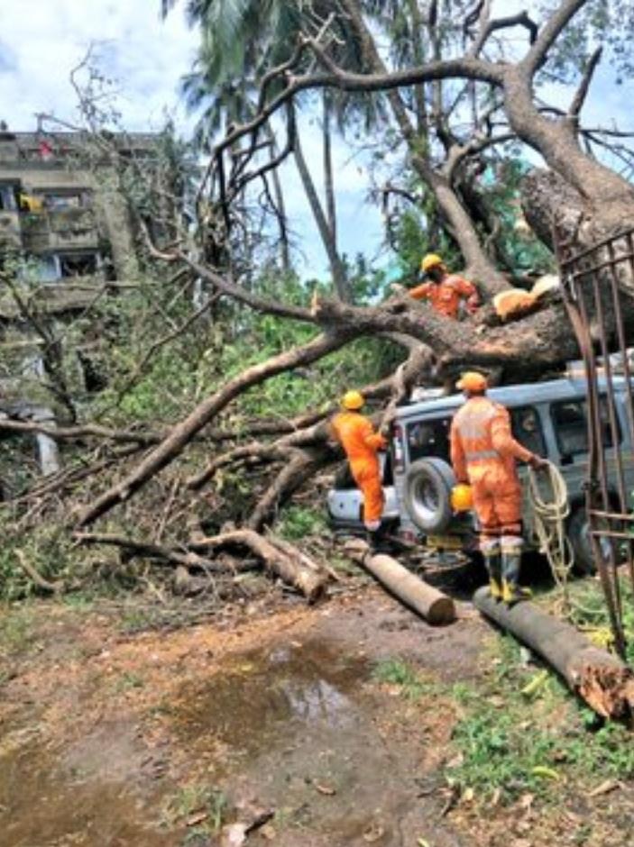 #CycloneAmphan 
NDRF is continuesly doing  restoration work at Bishwash Bari, KMC Kolkata, West Bengal. Today is 11th day.

#PostAmphanRestoration

#NDRF4U