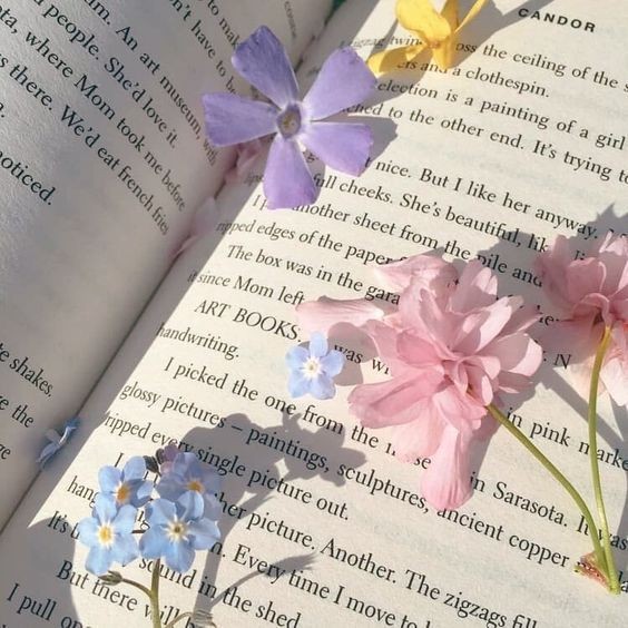 fanlivemia's tweet photo. сегодня последний день весны🌸 https://t.co/8Ta2wljgiW