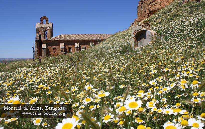 No tenemos alfombra roja, la nuestra es de margaritas. Desde Tierras de Frontera ¡buenos días! #CaminodelCid