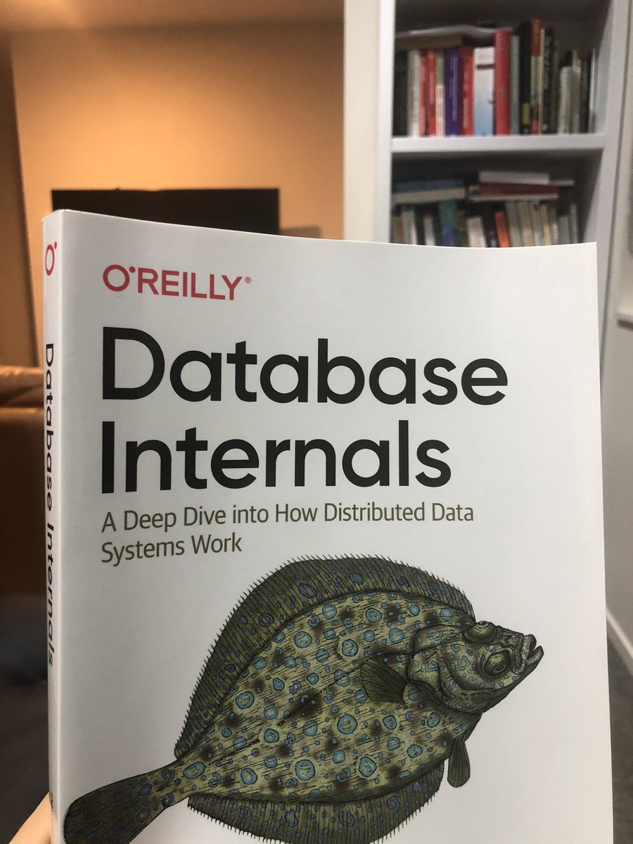ICBMRV's tweet image. Some entertainment reading arrived today ( finally, after being locked at the place I not working anymore ). #databaseInternals #book