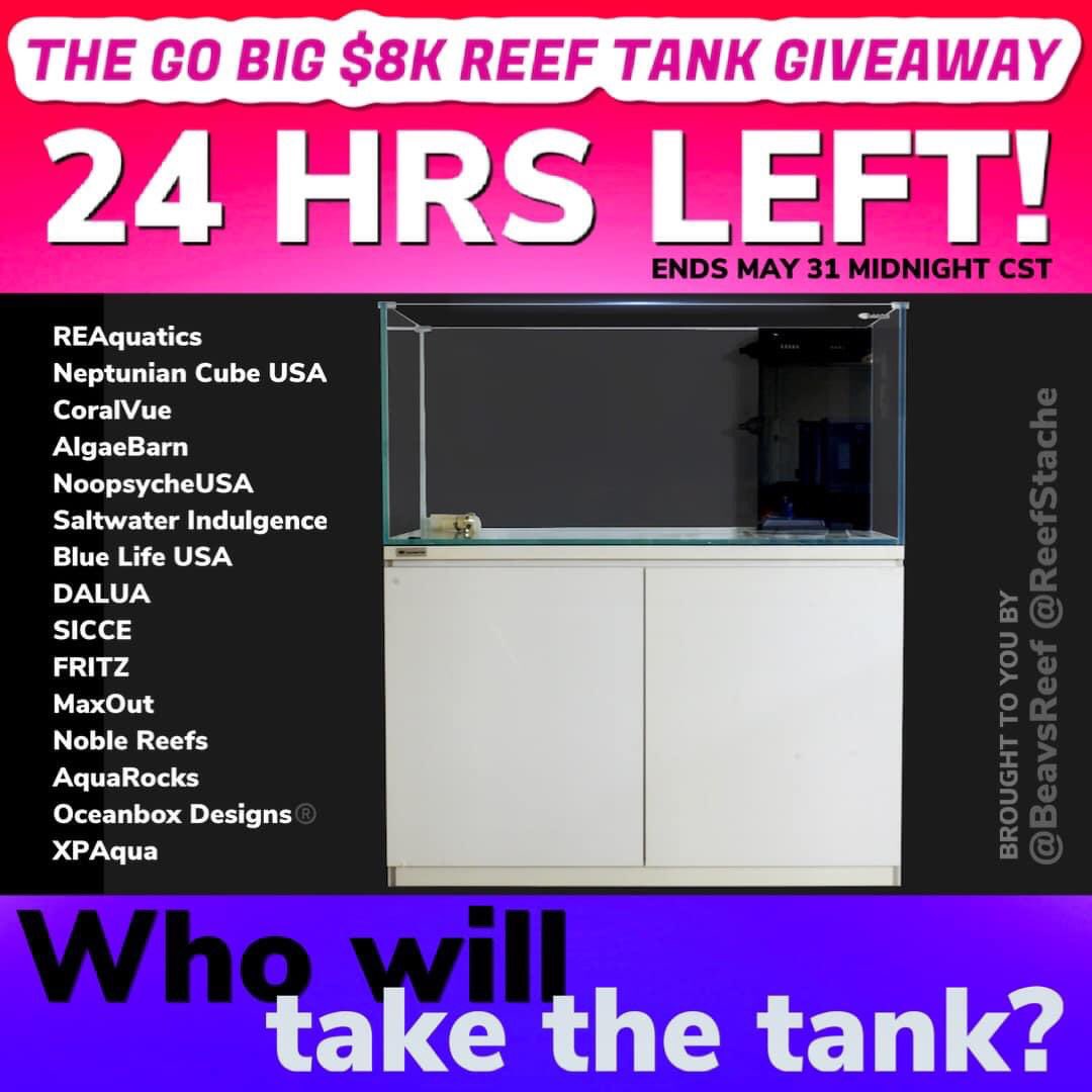 BeavsReef's tweet photo. LAST CALL for The GO BIG $8K+ Reef Tank Giveaway! 🏆 LINK: https://t.co/kHbkVJ71OL

#LastCall #GoBIG #GoBigGiveaway #ReefTankGiveaway #FreeFishTank #FreeAquarium https://t.co/sR3FIzk64Y