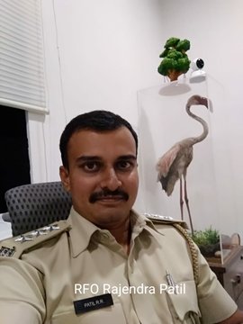 Twitter पर छबि देखें