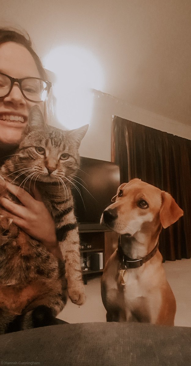 When you realise you post more photos of your animals than friends.. 😬😂 #doggos #cat #lonelysundaynights