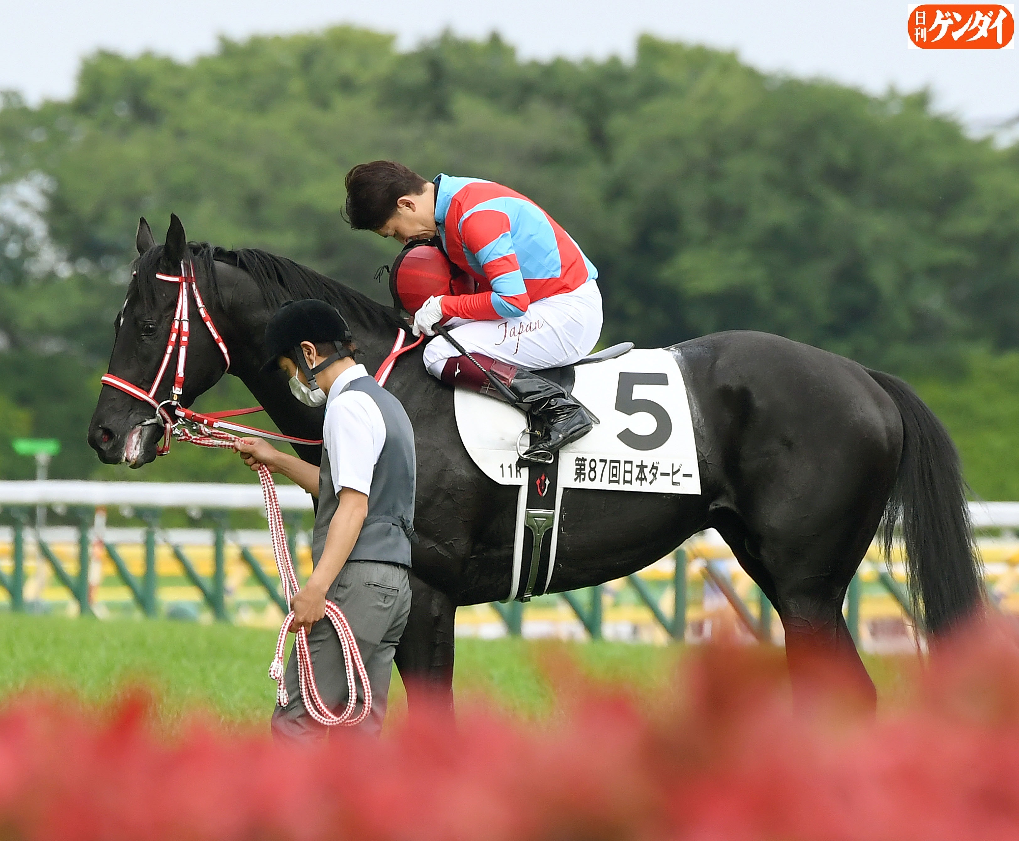 日刊ゲンダイ 競馬 on X: 日刊ゲンダイ 競馬 on X: