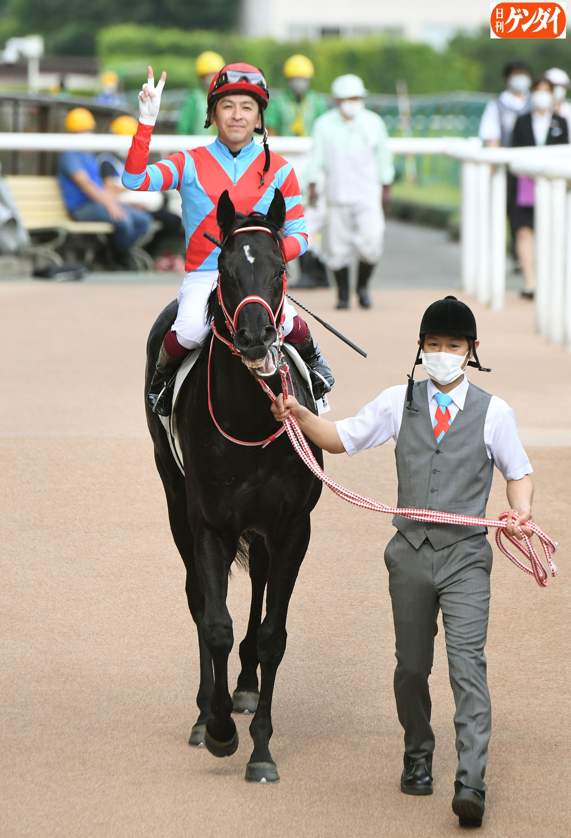日刊ゲンダイ 競馬 on X: 
