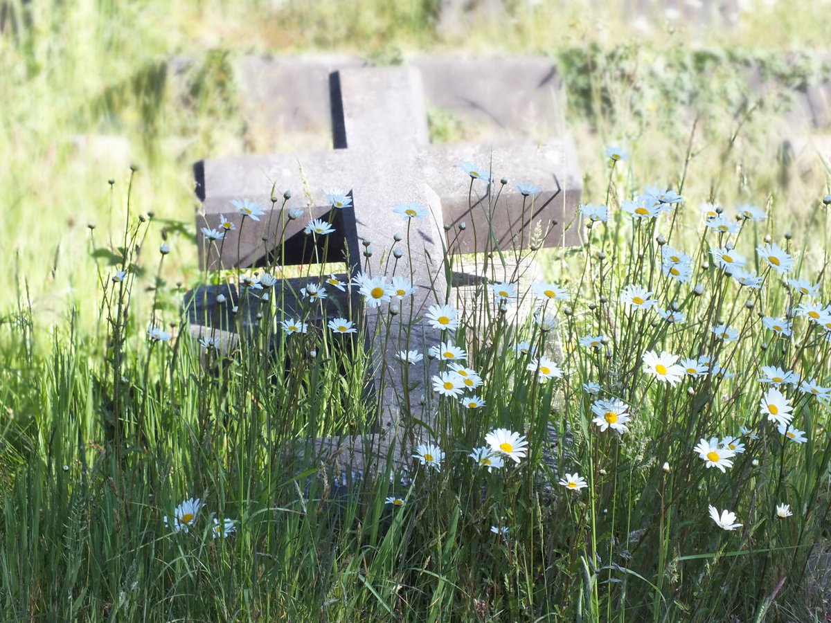 Morning Twitter

#lockdownexercise #OystermouthCemetery #Mumbles #Swansea #Wales