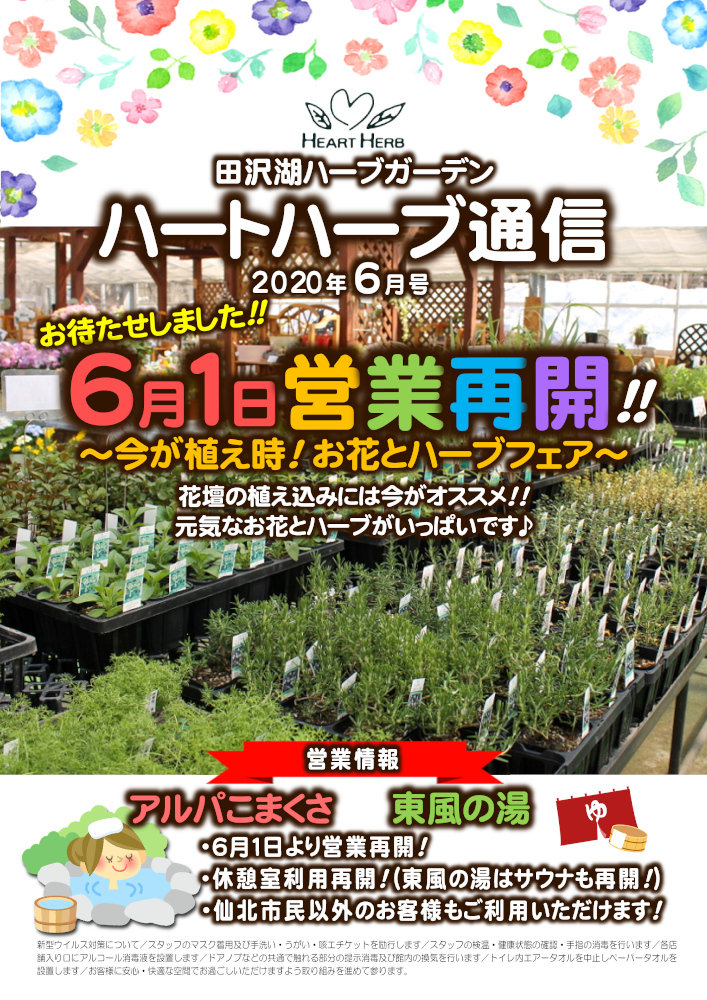 田沢湖ハーブガーデン ハートハーブ V Twitter おしらせ 年6月1日より全館オープンいたします レストラン ショップ 温室 お庭 準備万端です 今シーズンも ハートハーブをよろしくお願いいたします 当面ランチバイキングはお休みいたします 詳細