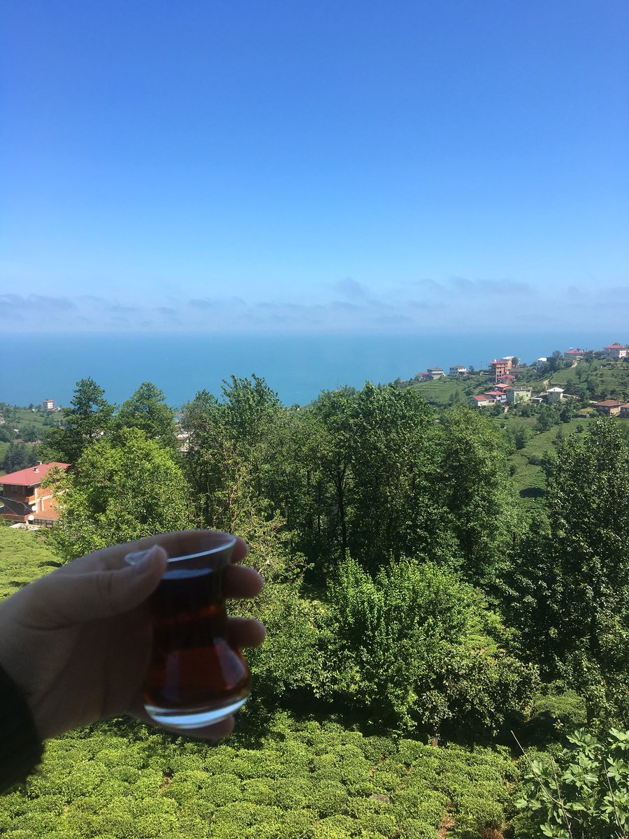 CevatCelikk's tweet photo. 📍Rize..🍃 https://t.co/jCx7l3wDbl