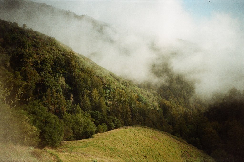 ‘In every walk with nature one receives far more than he seeks’- John Muir 

We hope you enjoy some time spent with nature today <3