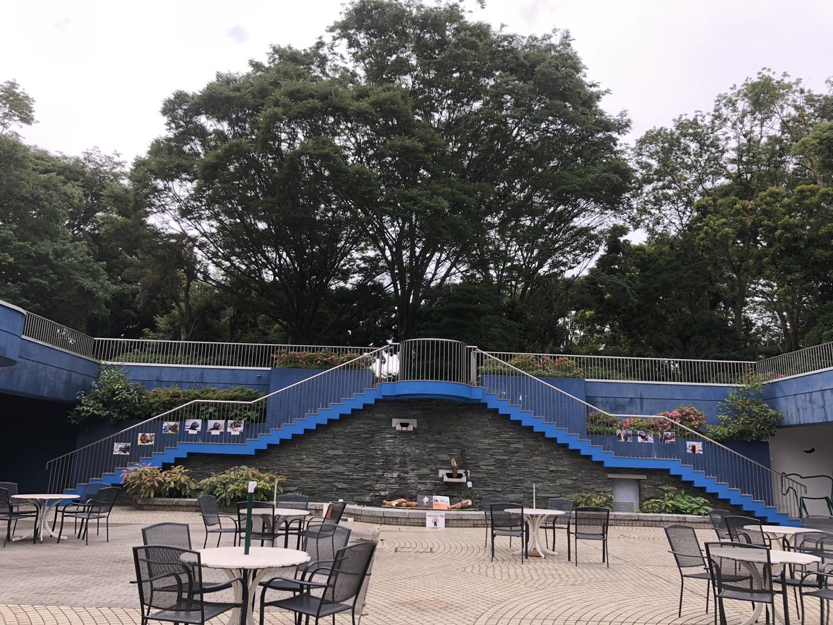 千葉市動物公園 公式 アメリカビーバーの赤ちゃん誕生を記念し ビーバーかじり木展 を開催します ビーバー が実際にかじった木や 解説パネル 話題のタワシも登場します 場所は展望デッキです ご来園の際は是非見に来てください 企 千葉市