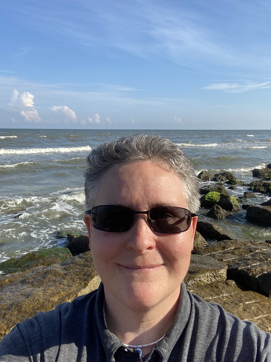 naturenut7's tweet photo. Seawall @GalvestonIsland #windy #waves #SaltLife #seagulls #SaturdayVibes #PVPL #PositiveVibesOnly https://t.co/xPrlMrsXzl