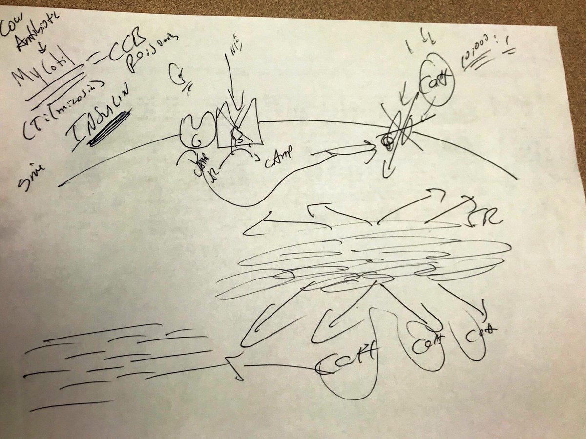 DJShahMD's tweet photo. A little on shift tox teaching by @toxiholic - the cattle ABX Tilmicosin causes a CCB OD syndrome -> start HIE early #toxtips @CookCountyEM https://t.co/VQFkZ7aDnY