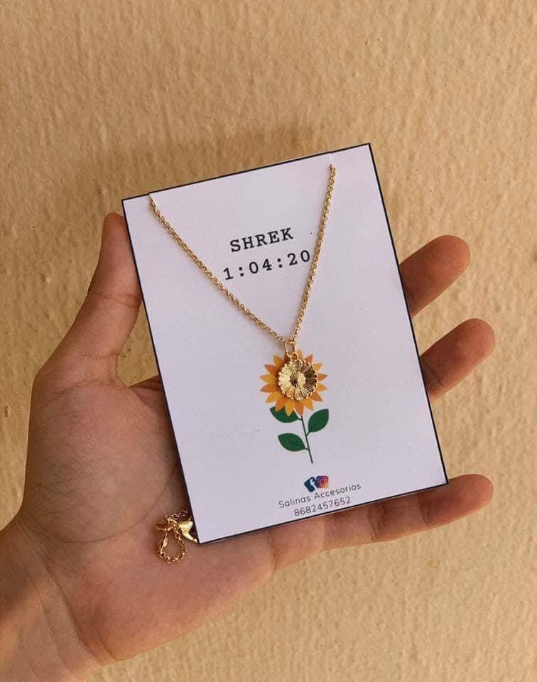 rhochicristaldo's tweet photo. Yo vi esta flor 🌻 https://t.co/7uCOoAJRm0