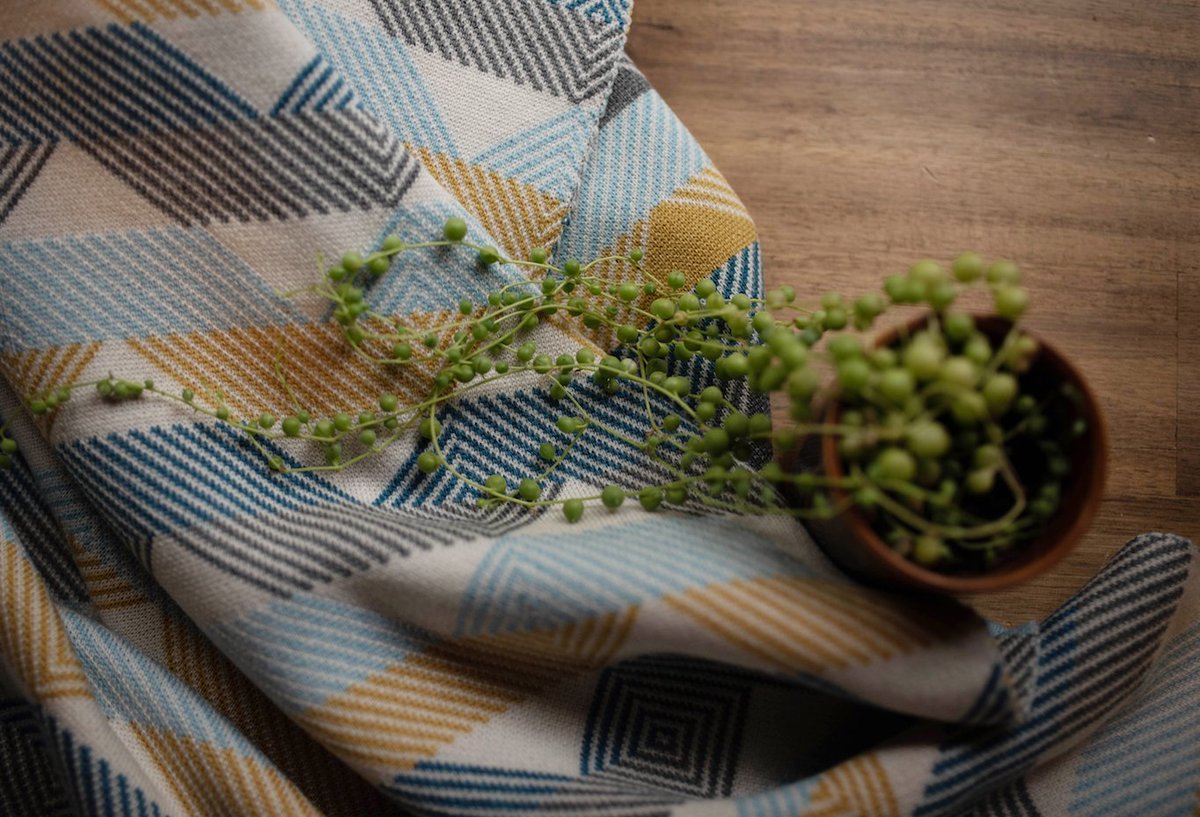 Even plants want to snuggle up sometimes. They may lack a nervous system but their 5 senses are alive and well. Stay cosy little daisies.
.
Here's a close up of our 'Singalong' Blanket in Amalfi Blue/Golden. ⁠
⁠
ottoandspike.com.au/products/blank…