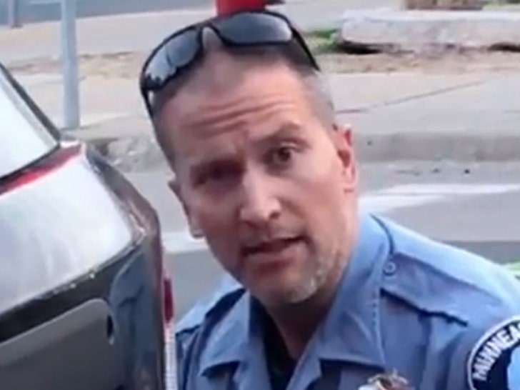 This is the face of the underlying problem.
This face belongs to the individual responsible for all of this.
Direct your anger, your hatred, your protests, your rioting (if you must) towards this face &amp; demand #JusticeForGeorgeFloyd 
#DerekChauvinMurderedGeorgeFloyd