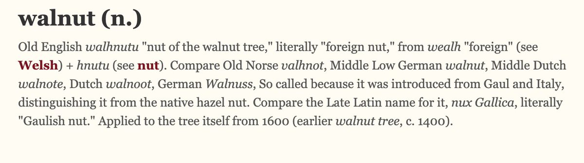 OK mind blown. Walnut in English comes from the Old English "wealh" for foreign So walnut literally means "foreign nut"It's "foreign nut" in every European country where it is foreignBut not.... France and Italy! Because, as we have learned, there it's just a nut