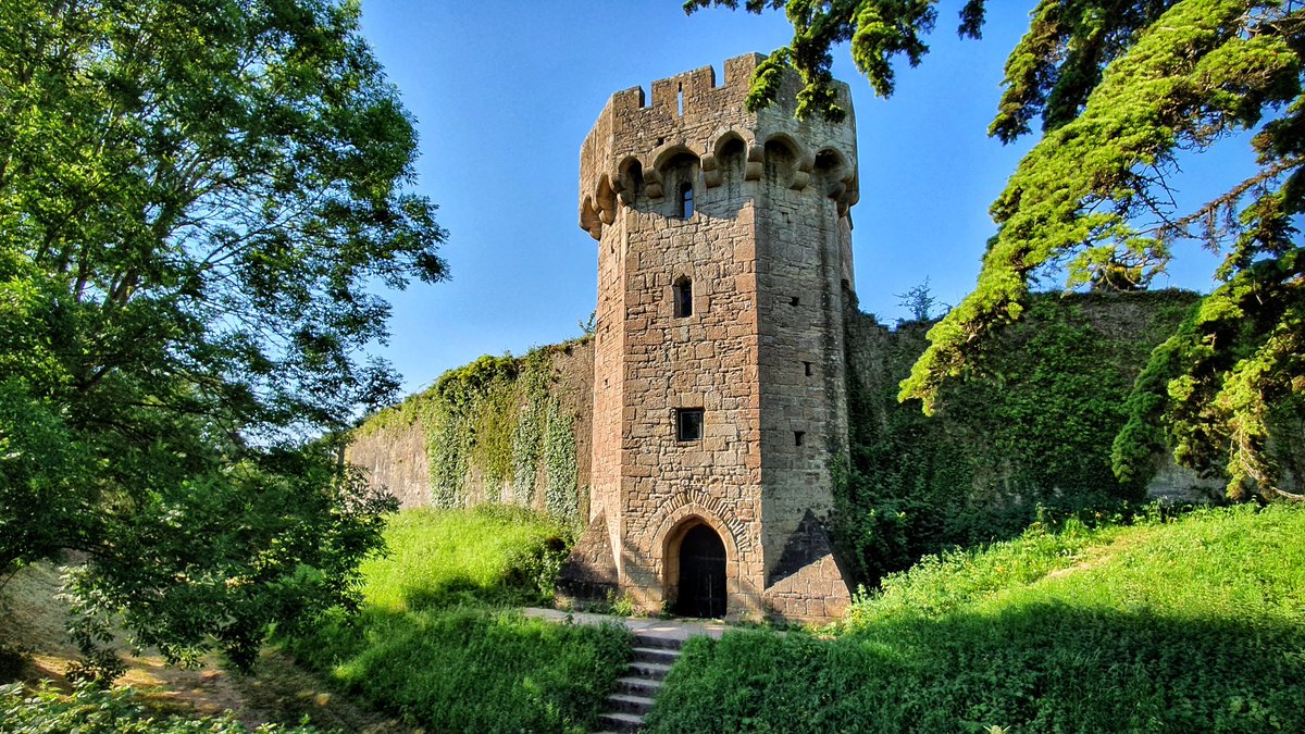 Good morning! This was our walk this morning at Caldicot Castle. 
And what a gorgeous one it is!
Stay safe all🌞🌞
@MonmouthshireCC @visit_mon @Mon_Heritage @MonLifeOfficial @ruthwignall @kelseyredmore @CTywydd @DerekTheWeather @angie_weather @ItsYourWales  #sundayvibes