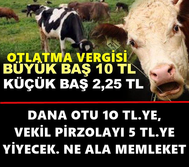 ayse (@hapyrosy) on Twitter photo ne ala memleket 
(2. a da inceltme işareti var !)
#BilaleAnlatırGibi 
#BirZaferAnıtı ne ala memleket 
(2. a da inceltme işareti var !)
#BilaleAnlatırGibi 
#BirZaferAnıtı