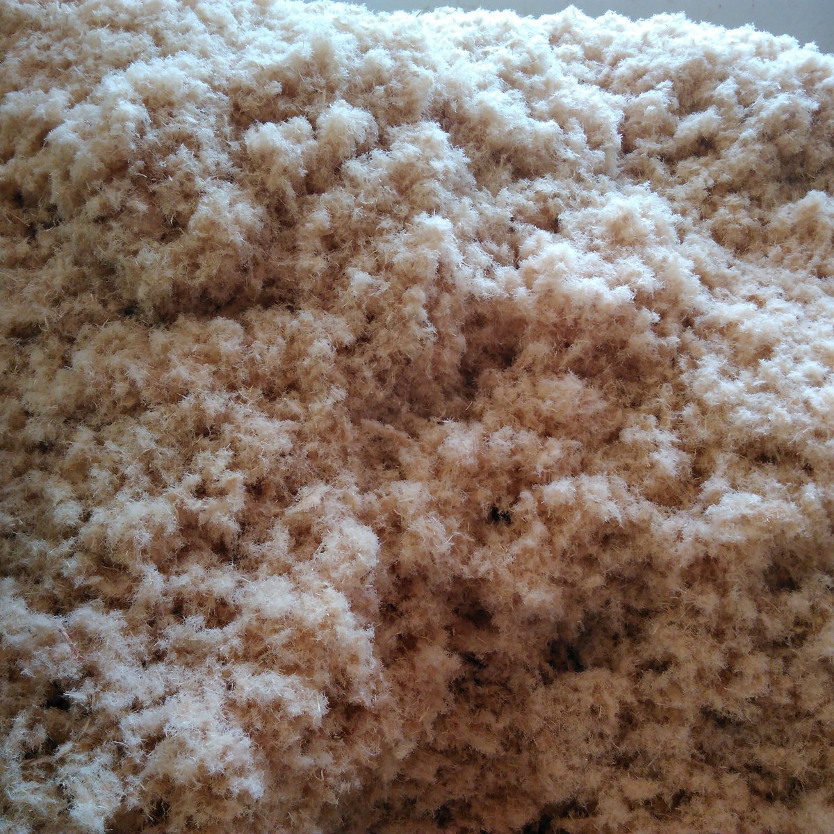 HolzbauRapp's tweet photo. Baumwolle oder Holzwolle? Was liegt hier auf dem Haufen? 
.
.
.
#Baumwolle #Holzwolle #HolzbauRapp #Naturbaustoff #Nachhaltigkeit #Holzbau #Zimmerei #Hohentengen #WeloveGoege https://t.co/dvNDAoWa0R