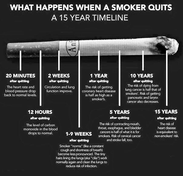 #NO TOBACCO DAY  ... gave up smoking cigarettes exactly 11years+ ago &amp; i feel GREAT since that day ... free &amp; relieved &amp; healthy , physically &amp; mentally ... its NOT WORTH IT 😟 please DO NOT befriend Tobacco in any form 👍👍🙏🙏 Love Yourself 😌🥰