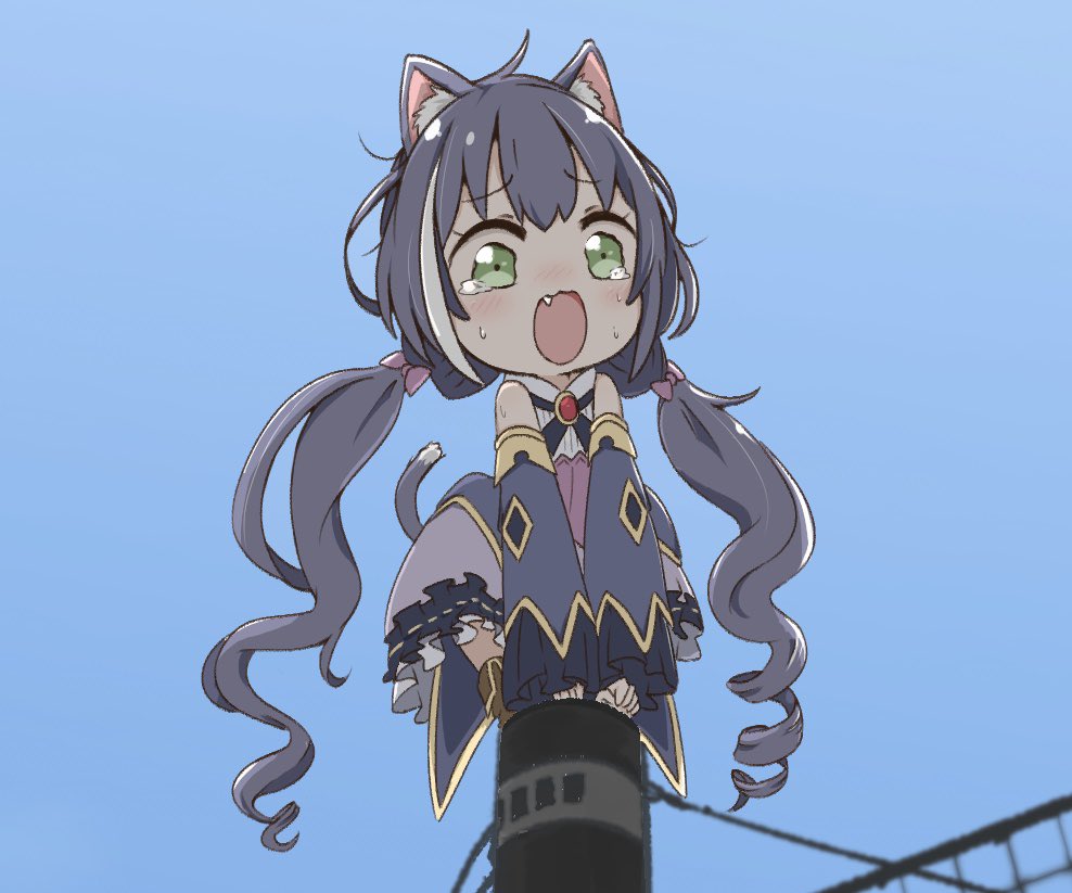 karyl (princess connect!) 1girl animal ears cat girl cat ears solo tail twintails  illustration images