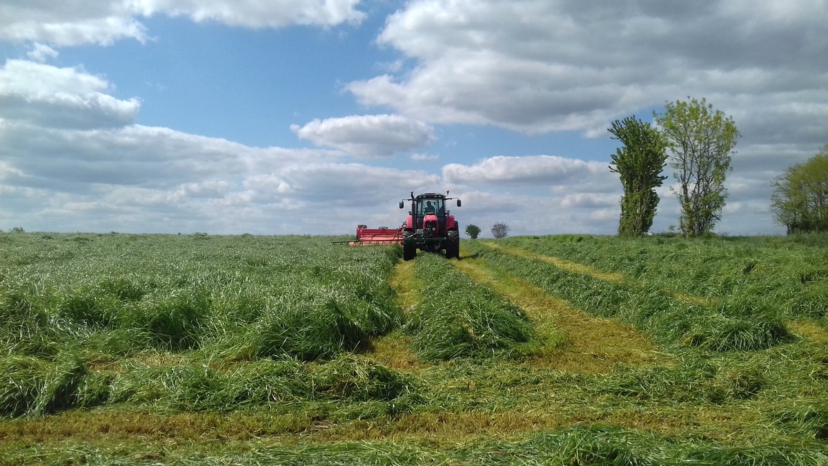 🔴 Jachères mellifères🌼🌷🌸, bandes enherbées 🌿🌱, barres d'effarouchement... Le programme Agrifaune préconise des actions pour améliorer l'accueil de la faune sauvage 🐍🦌🦔 <a href="/FDCdeuxsevres/">FDC 79</a> agri79.fr/agrifaune-conc…