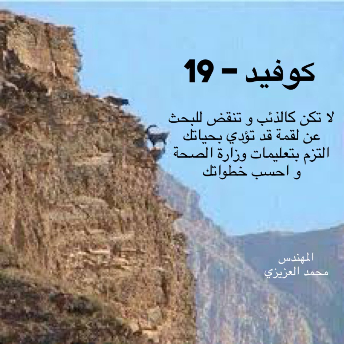 #كوفيد_19  لا تكن كالذئب و تنقض للبحث 
عن لقمة قد تؤدي بحياتك
التزم بتعليمات وزارة الصحة 
و احسب خطواتك